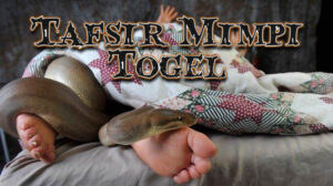 tafsirmimpitogel